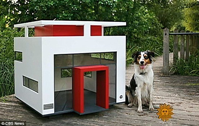 Criative-se: Ideias para a casinha do seu cão.