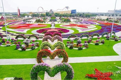 O Miracle Garden no Dubai é o maior jardim natural do mundo. Abriu em fevereiro deste ano e tem mais de 45 milhões de flores e mais de quatro quilómetros de passadeiras em 72.000 m2 de espaço.