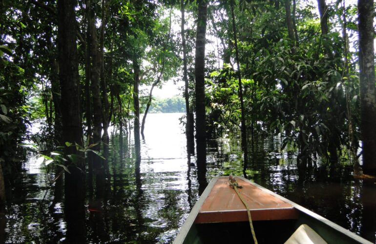 Amazonas deve ajudar a impulsionar o turismo do Brasil