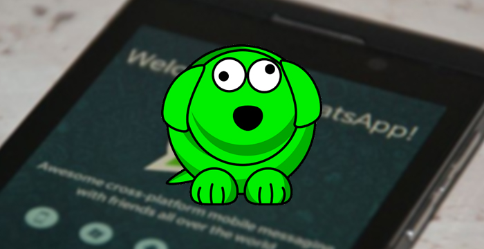 Whatsdog o aplicativo de monitoramento do Whatsapp