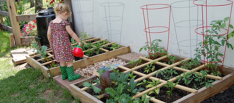 Conheça a cidade com hortas que oferecem alimentos gratuitos a seus moradores