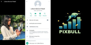 Texto base para Denunciar a PixBull e a Lidiane Janes Benício