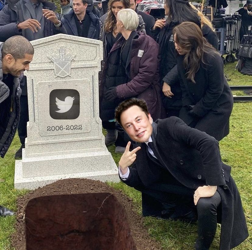 Elon Musk está matando o Twitter