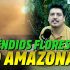 Incêndios Florestais no Amazonas está deixando o verde em cinzas!