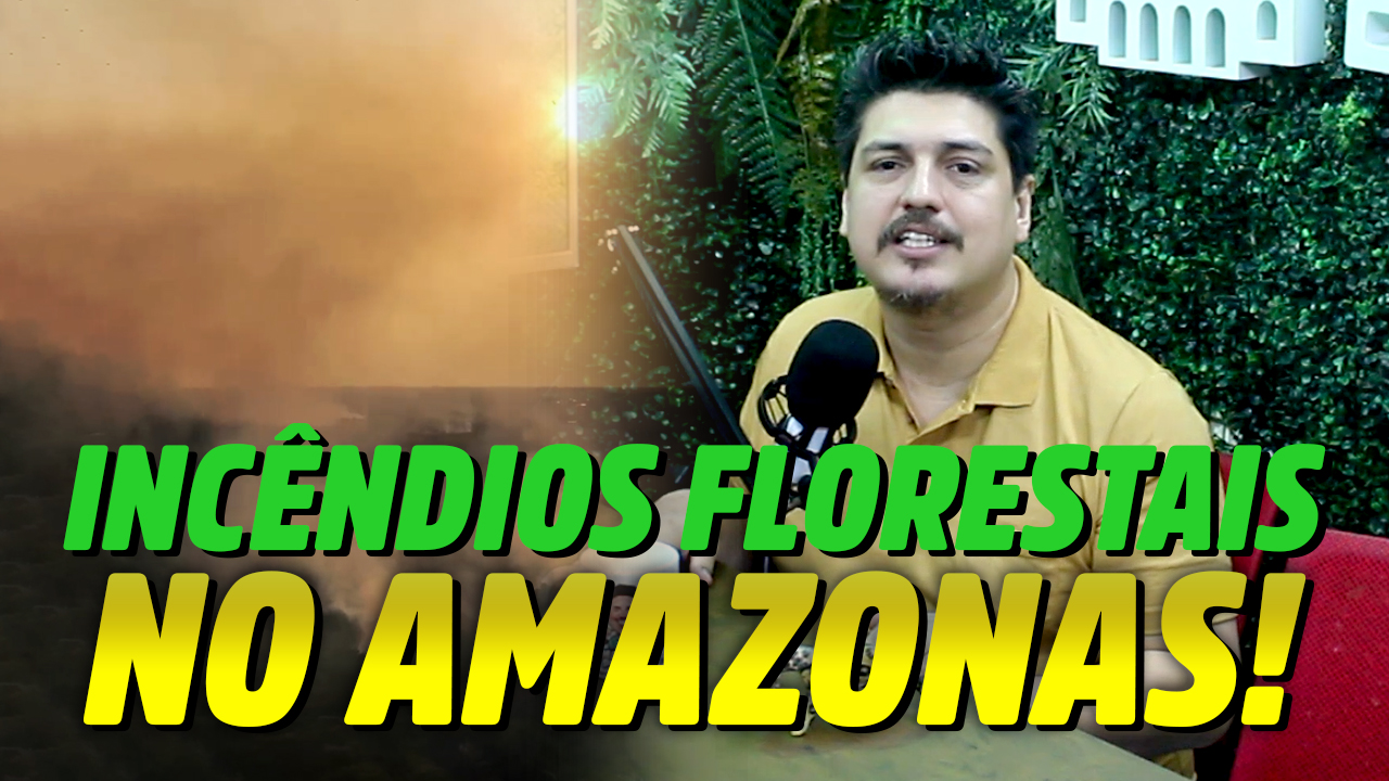 Incêndios Florestais no Amazonas está deixando o verde em cinzas!